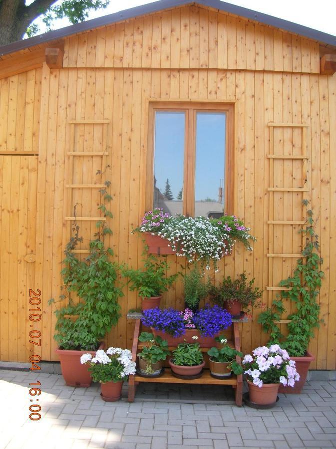 Apartmany Prima Mimon Exterior photo